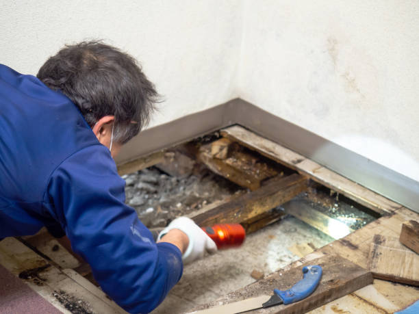 Best Crawl Space Mold Removal  in Tn Lakes, WI