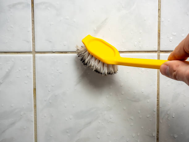 Best Mold Cleaning Services  in Tn Lakes, WI
