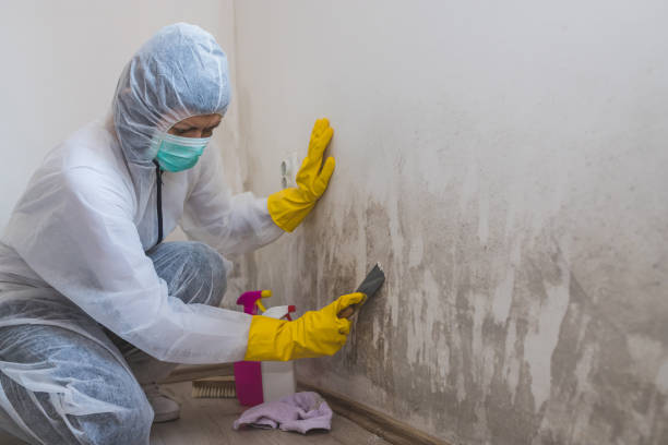 Best Crawl Space Mold Removal  in Tn Lakes, WI
