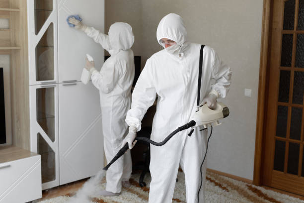 Best Local Mold Removal Service  in Tn Lakes, WI