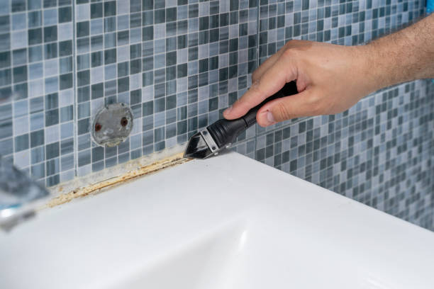Home Mold Removal in Twin Lakes, WI