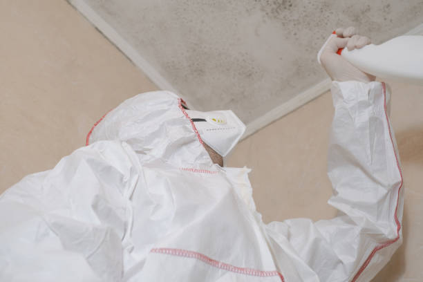 Crawl Space Mold Removal in Twin Lakes, WI