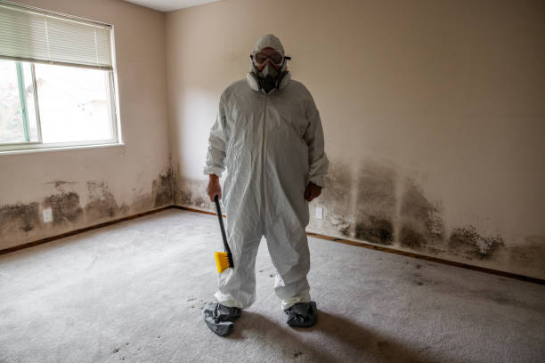 Best Mold Testing  in Tn Lakes, WI