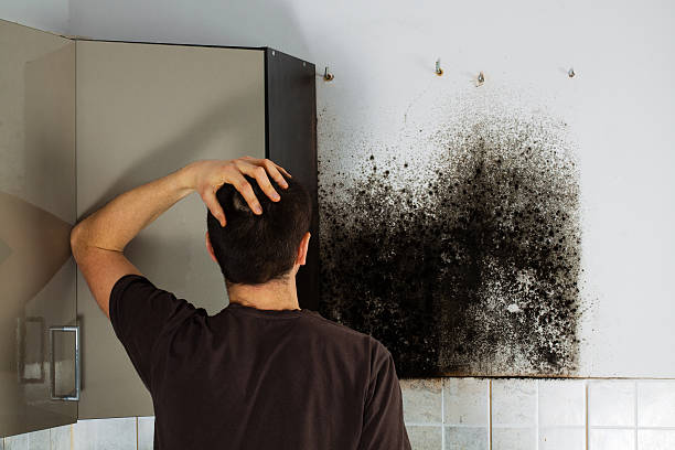 Best Crawl Space Mold Removal  in Tn Lakes, WI